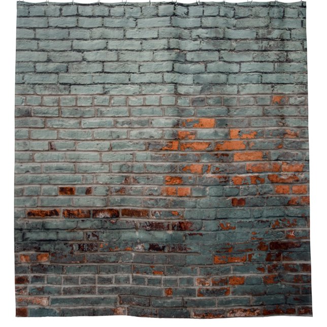 Grey wall paint shower curtain (Front)