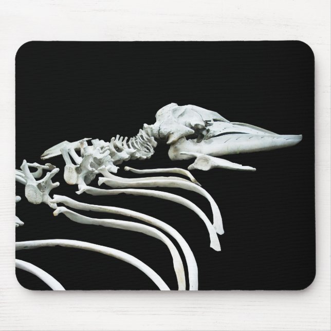 Grey Whale Fossil Mouse Pad (Front)