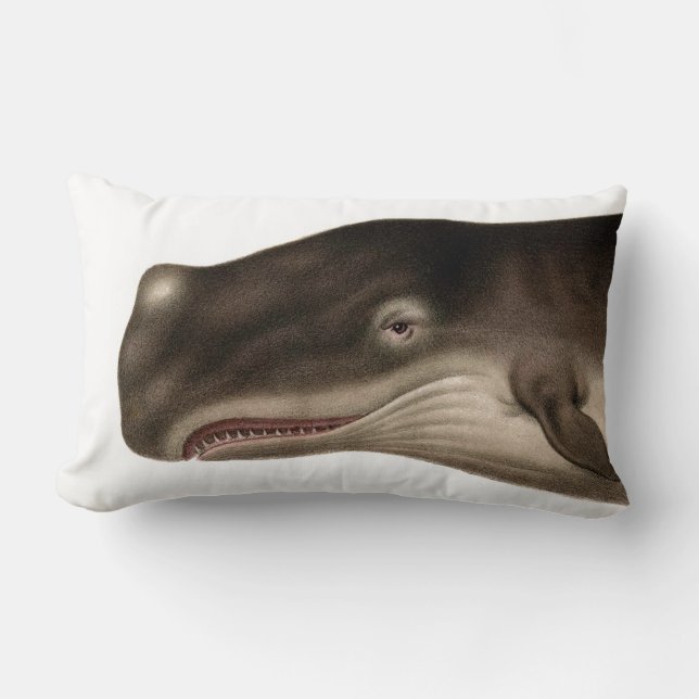 Grey Whale Lumbar Nautical Throw Pillow (Front)