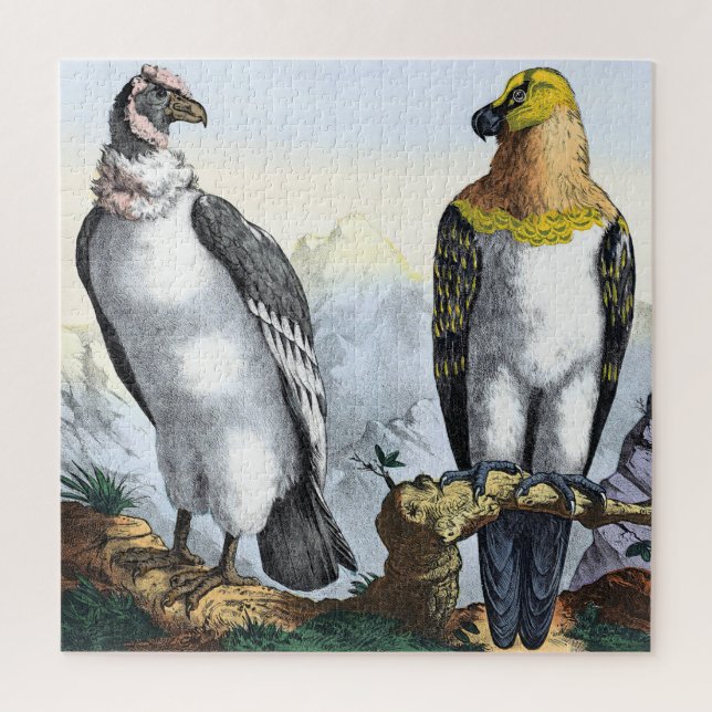Grey White Condor Yellow Black Eagle Jigsaw Puzzle (Vertical)