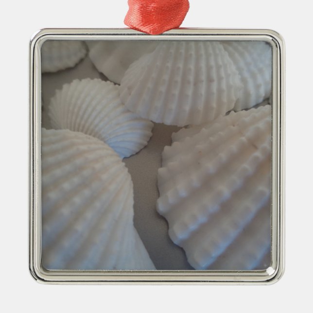 Grey White, Seashells, Sea Shell Summer Beach Love Metal Tree Decoration (Front)