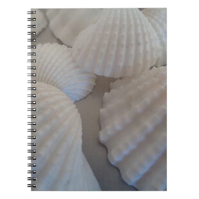 Grey White, Seashells, Sea Shell Summer Beach Love Spiral Notebook (Front)