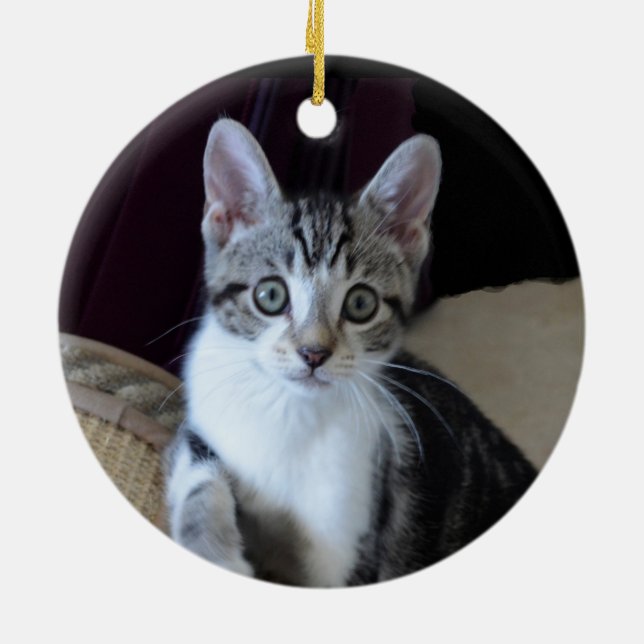 Grey/white Tabby Kitten Ornament (Back)