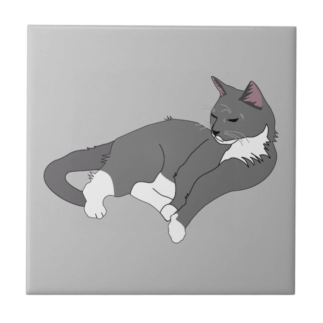 Grey & White Tuxedo Cat Tile (Front)