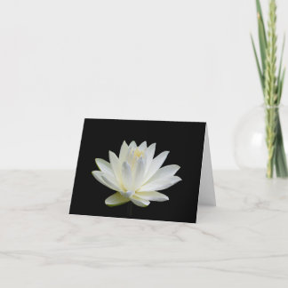 Grey White Water Lily Blank Note Greeting Cards