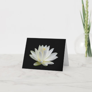 Grey White Water Lily Blank Note Greeting Cards