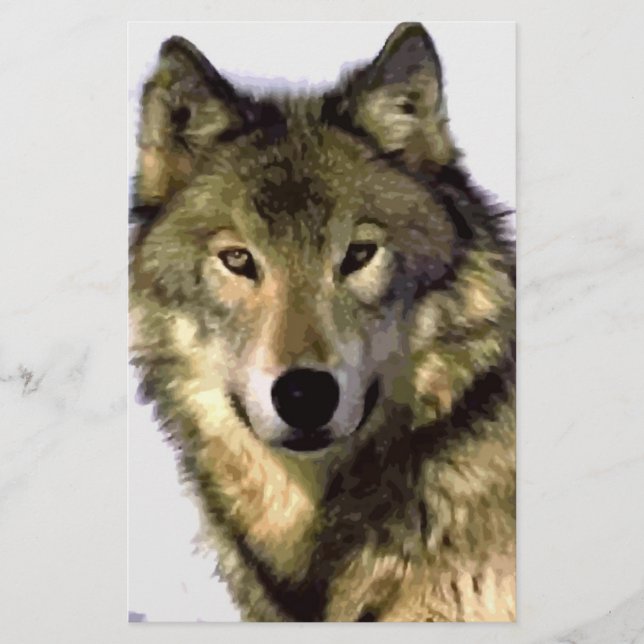 Grey Wolf (Front)
