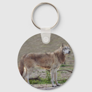 grey-wolf-12 key ring
