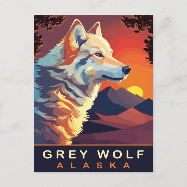 Grey Wolf, Alaska, Sunset on the Mountains, Travel Postcard (Front)
