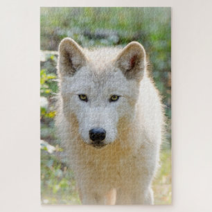 Grey Wolf, Beautiful Canine Photography Jigsaw Puzzle