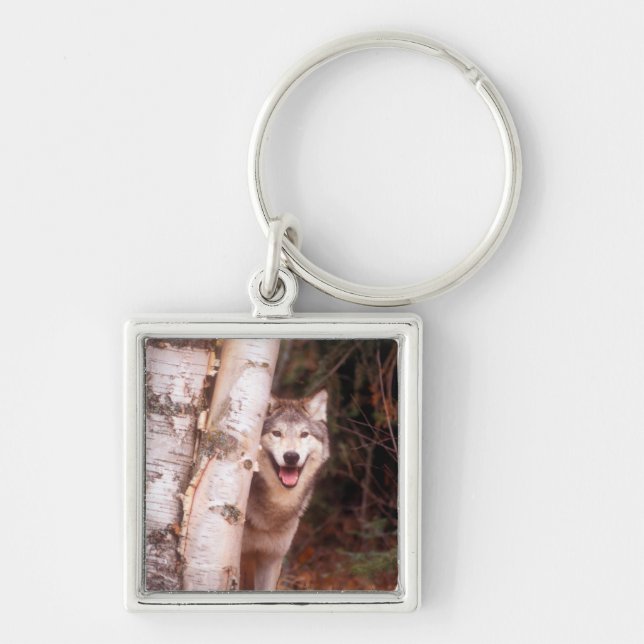 Grey Wolf Behind a Tree Key Ring (Front)