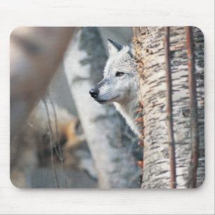 Grey Wolf Behind Tree Mouse Pad