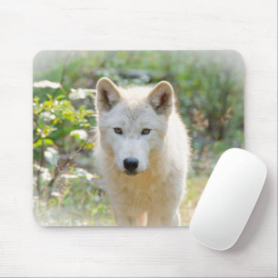Grey Wolf, Calm Canine Mouse Pad