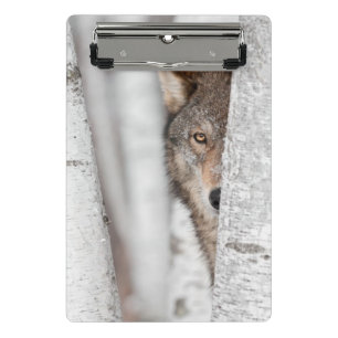 Grey Wolf (Canis lupus) Behind Tree Mini Clipboard
