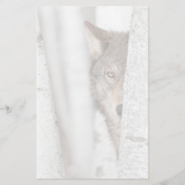 Grey Wolf (Canis lupus) Behind Tree Stationery (Front)