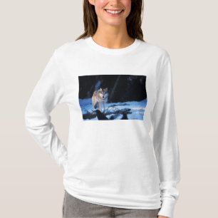 grey wolf, Canis lupus, in the foothills T-Shirt