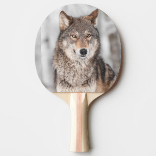 Grey Wolf (Canis lupus) With One Ear Back Ping Pong Paddle