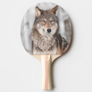 Grey Wolf (Canis lupus) With One Ear Back Ping Pong Paddle