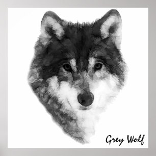 Grey Wolf classic Poster