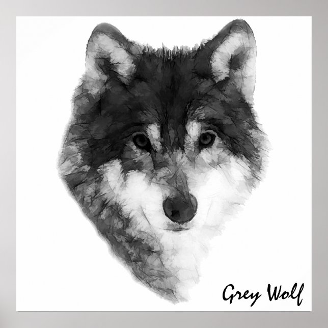 Grey Wolf classic Poster (Front)