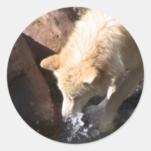 Grey Wolf Classic Round Sticker