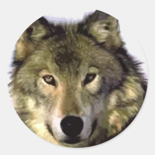 Grey Wolf Classic Round Sticker