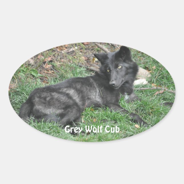 GREY WOLF CUB Wildlife Supporter Stickers (Front)