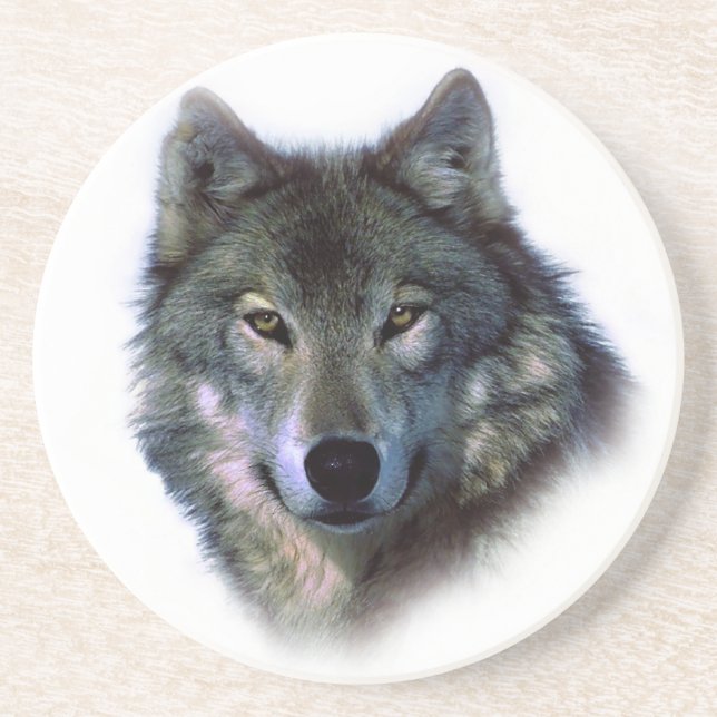 Grey Wolf Eyes Coaster (Front)