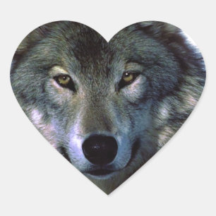 Grey Wolf Eyes Heart Sticker