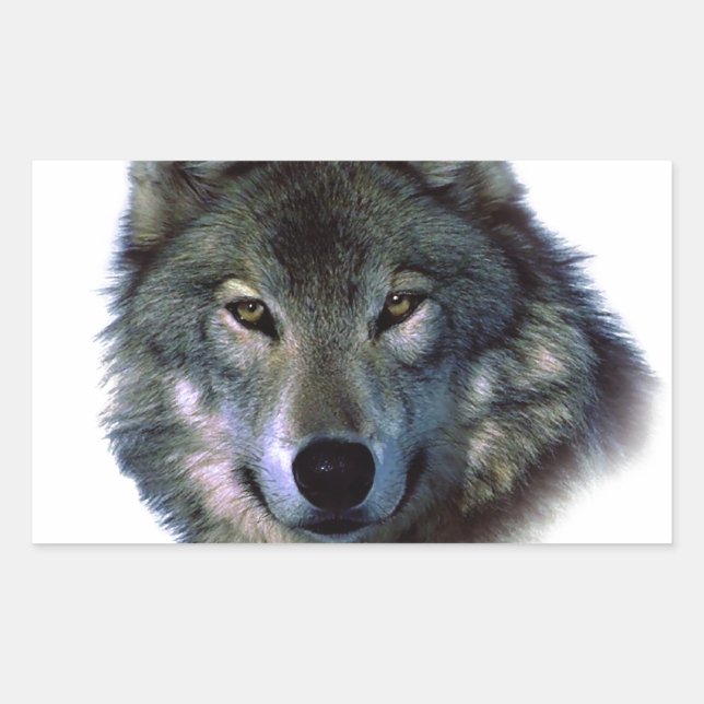 Grey Wolf Eyes Rectangular Sticker (Front)