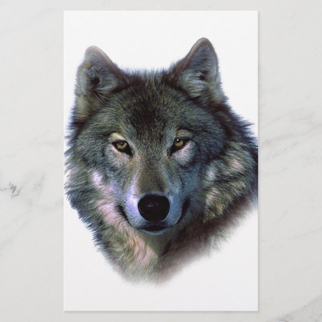 Grey Wolf Eyes Stationery (Front)