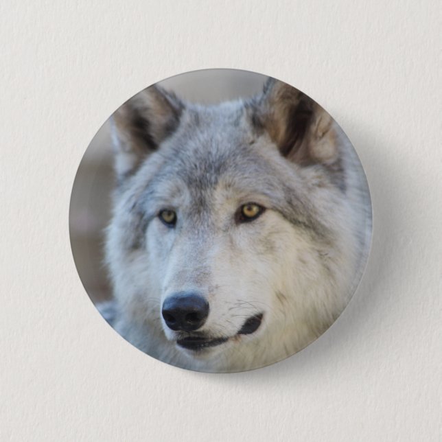 Grey Wolf Face 6 Cm Round Badge (Front)