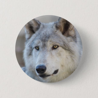 Grey Wolf Face 6 Cm Round Badge