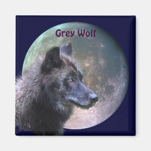 Grey Wolf & Full Moon Wildlife Collection Magnet