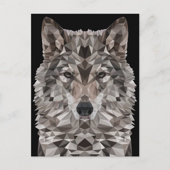 Grey Wolf Geometric Portrait Postcard (Front)