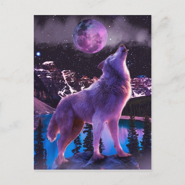 Grey wolf howling in forest postcard (Front)