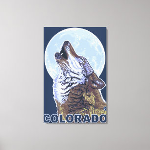 Grey Wolf HowlingColorado Canvas Print