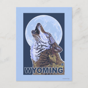 Grey Wolf HowlingWyoming Postcard