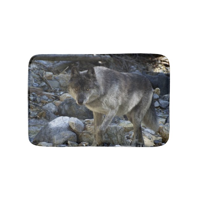 Grey Wolf Hunting in a Dry River Bed Bath Mat (Front)