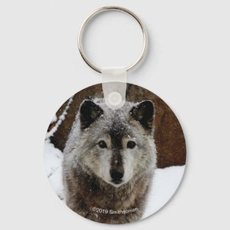 Grey Wolf in Snow Key Ring