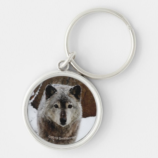 Grey Wolf in Snow Key Ring (Front)