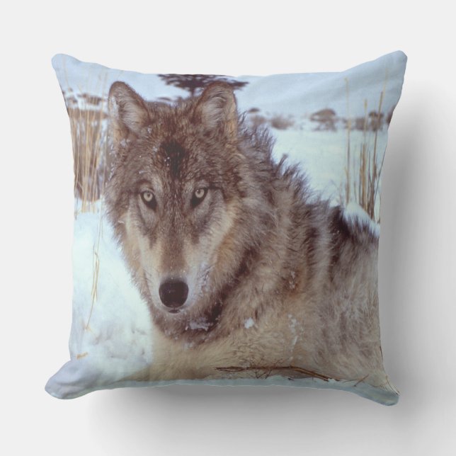 Grey Wolf In Winter Cushion (Front)