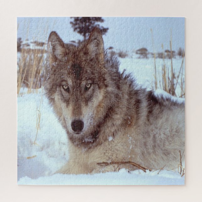 Grey Wolf In Winter Jigsaw Puzzle (Vertical)