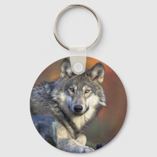 Grey Wolf Key Ring