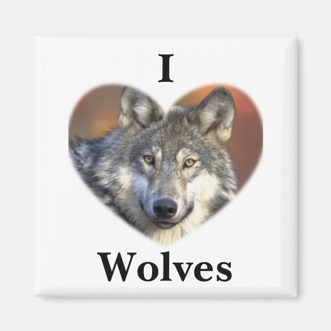 Grey Wolf Magnet (Front)
