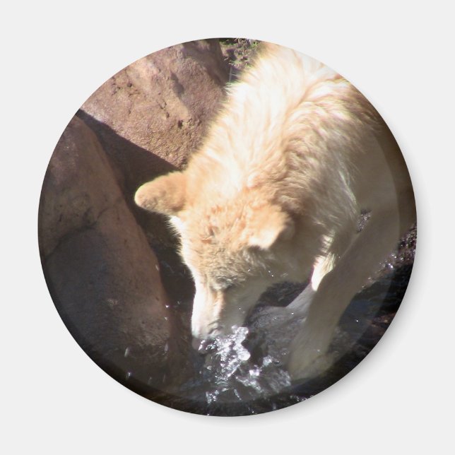 Grey Wolf Magnet (Front)