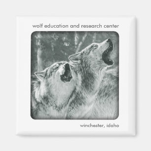 Grey Wolf Magnet