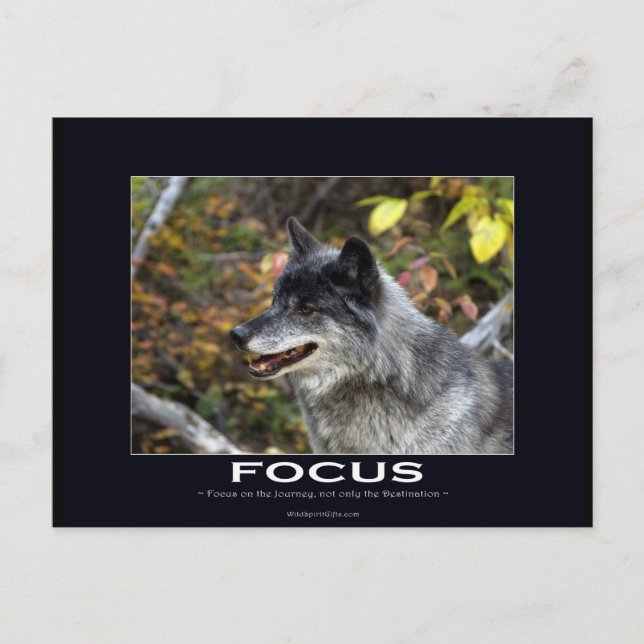 Grey Wolf Motivational Gifts Postcard (Front)
