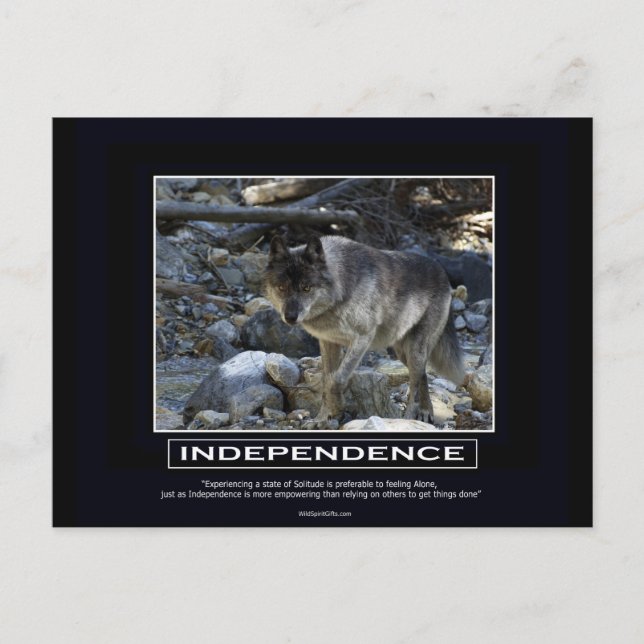 Grey Wolf Motivational Gifts Postcard (Front)