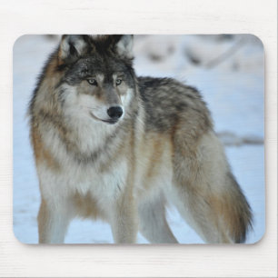 Grey Wolf Mouse Pad